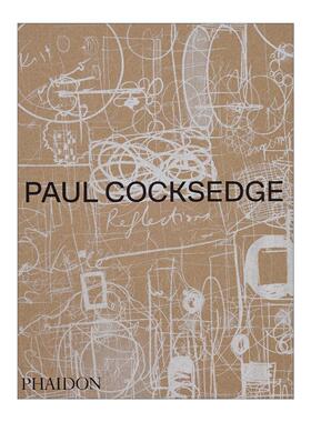 英文原版 Paul Cocksedge 英国设计师保罗·卡可塞基 精装装置艺术集 英文版 进口英语原版书籍