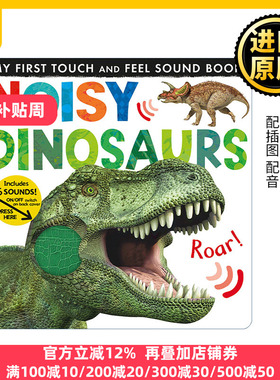 英文原版 Noisy Dinosaurs (My First) Jonathan Litton