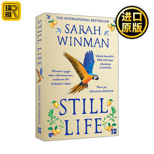 Still Life 静物 莎拉·韦曼小说 泰晤士报畅销书