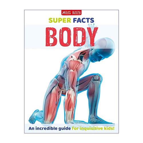 英文原版 Super Facts Body 超级科普 人体百科 大开本精装KS2 KS3课外拓展读物 英文版 进口英语原版书籍