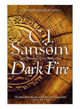 Dark Fire 碎湖系列2 黑火 都铎疑云 The Shardlake Series