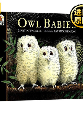 Owl Babies 小猫头鹰 童趣绘本 学前教育 4-6岁 Martin Waddell