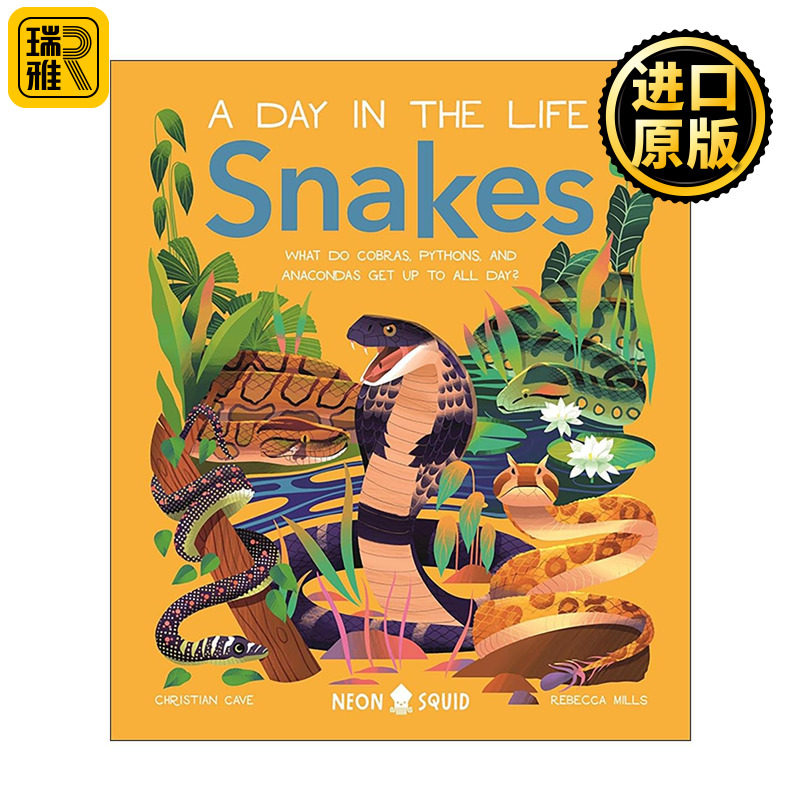 英文原版 Snakes 生活中的一天之蛇 眼镜蛇 蟒蛇和蟒蛇整天都在干什么 精装科普读本 英文版 进口英语原版书籍