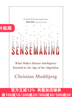 英文原版 Sensemaking 意会 算法时代的人文力量 英文版 进口英语原版书籍