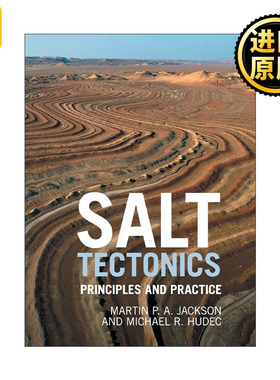 Salt Tectonics 盐构造 精装 Martin P. A. Jackson