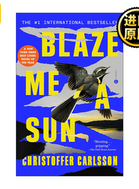 Blaze Me a Sun 为我点燃太阳 犯罪悬疑小说 Christoffer Carlsson