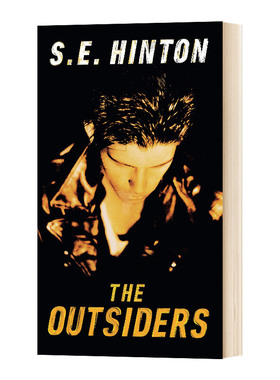 追逐金色的少年 英文原版 The Outsiders 局外人 S. E. Hinton 英文版 进口英语原版书籍