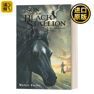 Walter the Stallion Farley Black Son
