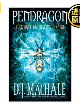 The Pilgrims of Rayne 超时空少年8