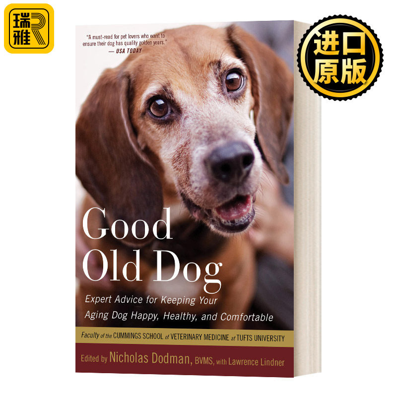 好老狗如何养好一条老狗的专业