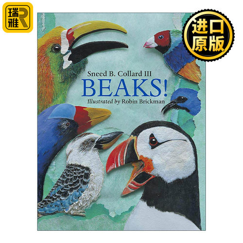 英文原版 Beaks 鸟喙 儿童动物科普百科绘本 Sneed B. Collard III 英文版 进口英语原版书籍