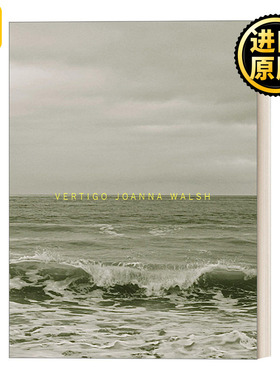 Vertigo 眩晕 当代小说 Joanna Walsh