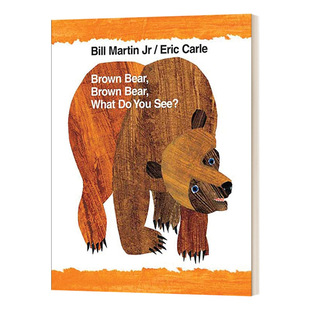 Bear 教学大书 Big 棕熊 儿童绘本 Book Brown