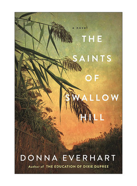 The Saints of Swallow Hill 燕子山的圣徒 大萧条时期历史小说 Donna Everhart