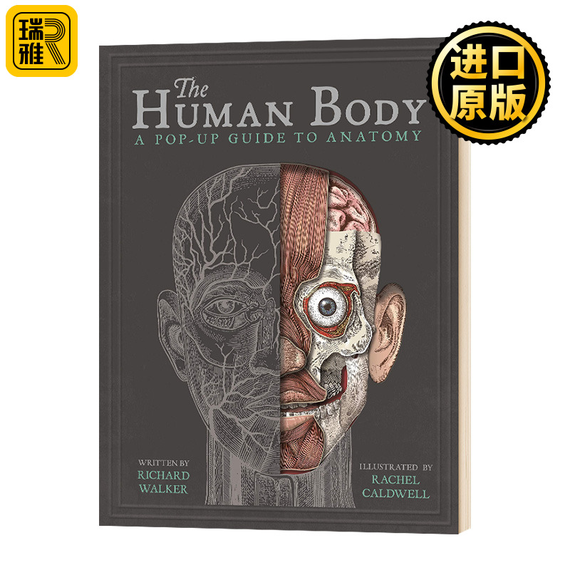 身体构造 立体书 英文原版 The Human Body 英文版 Richard Walker 儿童身体健康教育科普 立体书翻翻书绘本 进口原版英语书籍