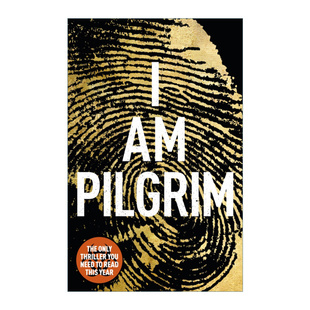 I Am Pilgrim 朝圣者 泰瑞·海耶斯
