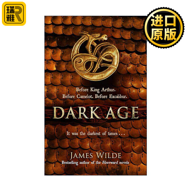 英文原版 Dark Age 黑暗纪元三部曲2 James Wilde奇幻小说 英文版 进口英语原版书籍