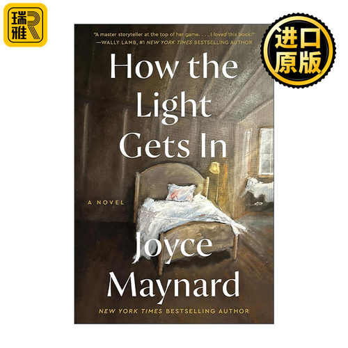 英文原版 How the Light Gets In 微光入怀 三代人的救赎与归处 细数时光续作 英文版 进口英语原版书籍