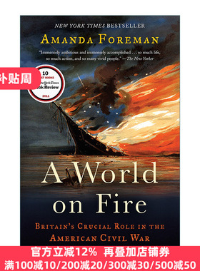 A World on Fire 燃烧的世界 英国在美国内战中的关键作用 历史 Amanda Foreman