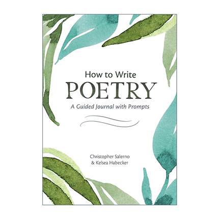 英文原版 How to Write Poetry 如何写诗 有提示的指导日志 写作指南 Christopher Salerno 英文版 进口英语原版书籍