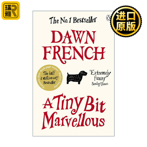 A Tiny Bit Marvellous 有那么点儿不可思议 英国喜剧演员唐·弗兰奇 畅销家庭题材小说