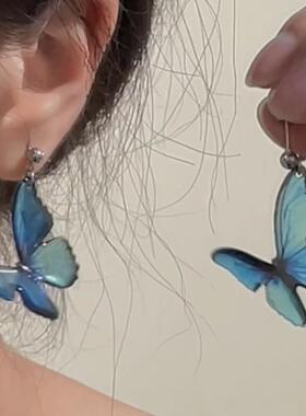 zoozmini清透蓝色蝴蝶耳钉女梦幻仙气甜美森系耳坠小众设计感耳饰