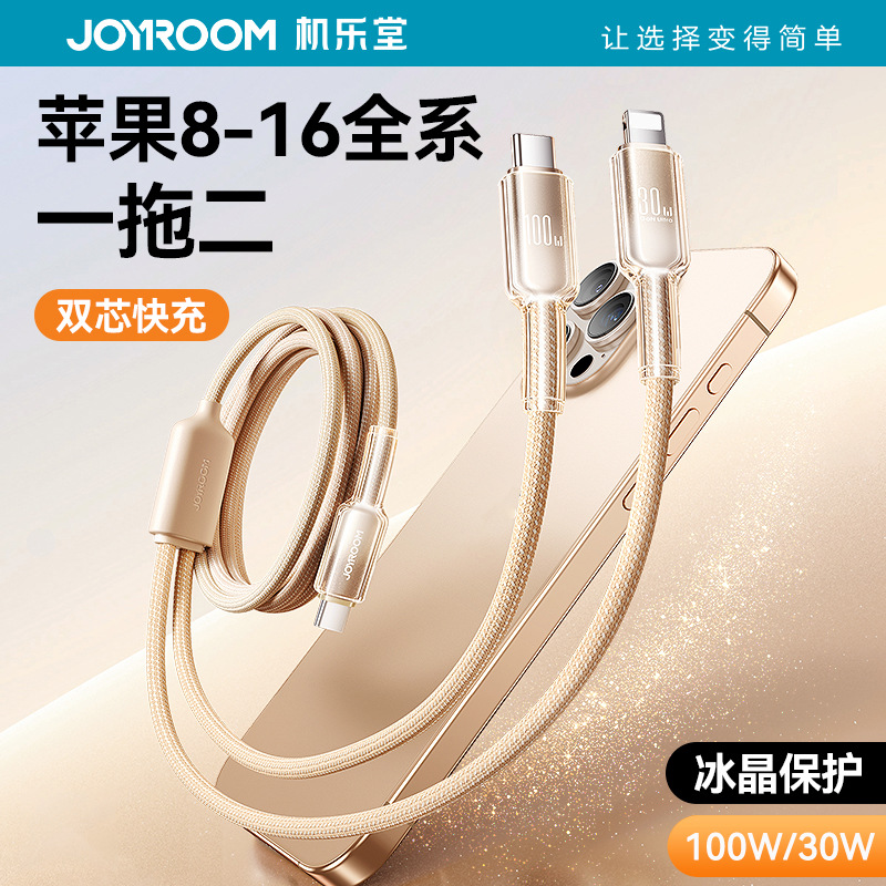 TypeCCablePD100W一拖二数据线