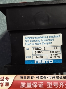 非标价计时器 FSSC-12 13985  FSS