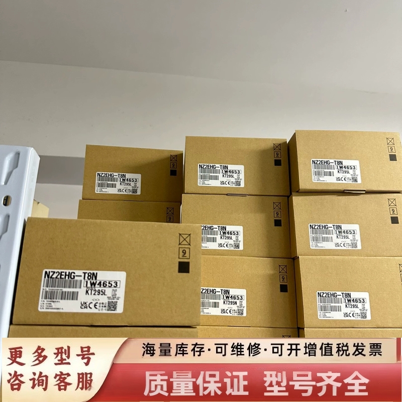 非标价NZ2EHG-T8N  处理