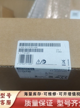 非标价中央处理单，型号6ES7 513-2PL00