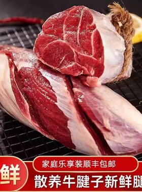 新鲜原切牛腱子肉金钱腱生鲜前腿冷冻品牛肉商用批发顺丰包邮
