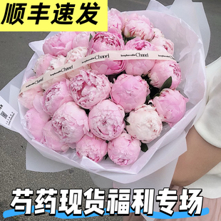 【顺丰现货】芍药鲜花进口重瓣鲜切花束珊瑚牡丹插花基地现摘现发