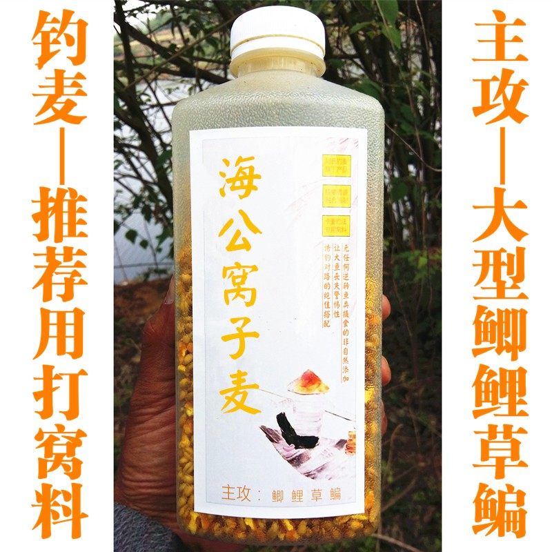 海公窝子麦饵料玉米小麦打窝料野钓水库主攻大型鲫鱼鲤鱼草鱼鳊鱼