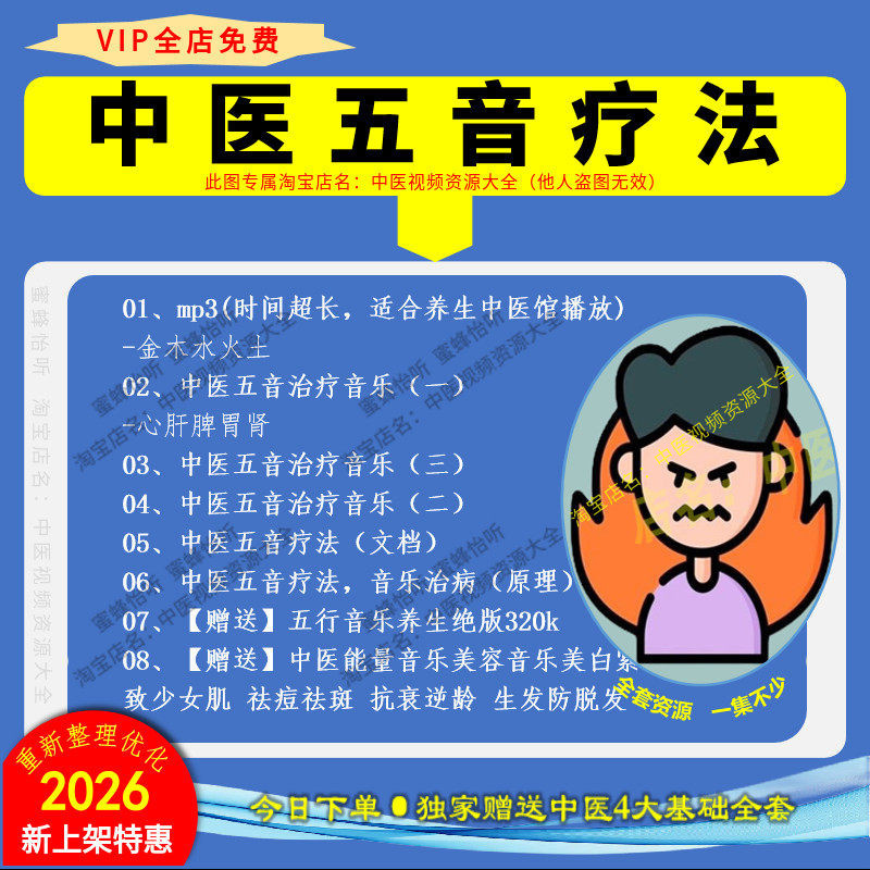 中医五行音乐疗法中医视频全套音频mp3大全集美容养生中医馆播放