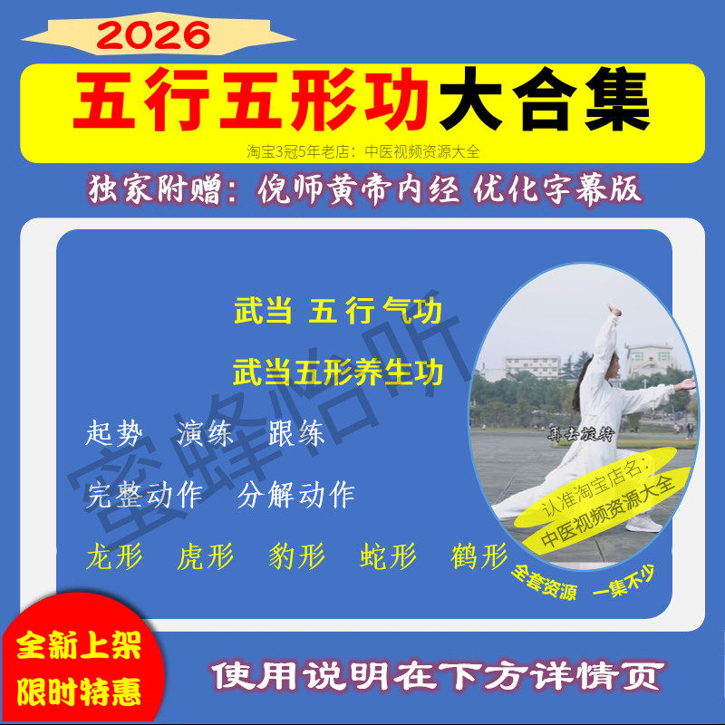 武当五行气功五形养生功高清教学视频教程功夫武术拳术强身健身课