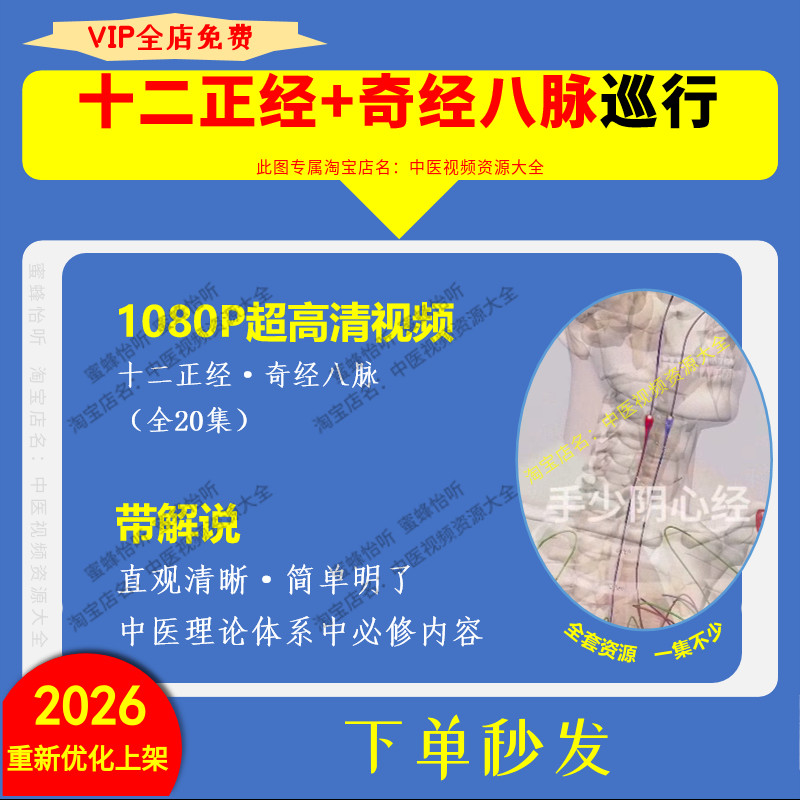 十二经脉奇经八脉动态巡行20大全集高清视频学习零基础入门到精通