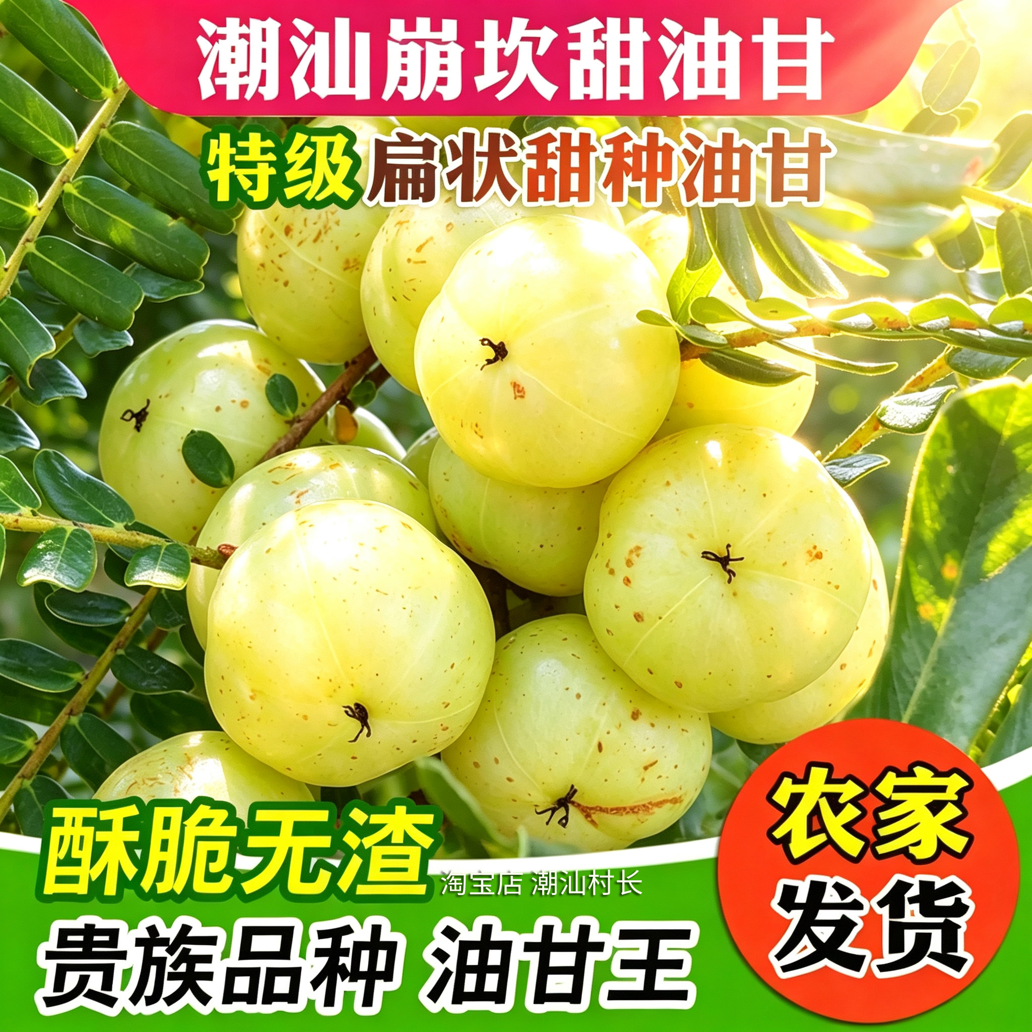 潮汕村长普宁崩坎甜种赤皮野生新鲜油甘果牛甘果余甘子滇橄榄油柑