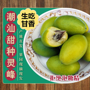 甜种灵峰橄榄适合生吃 潮汕香榄新鲜青甜橄榄青果檀香 凌峰橄榄果