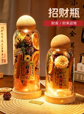 肉桂生财招财聚财能量瓶新家乔迁发光摆件玄关干花装饰家居香薰