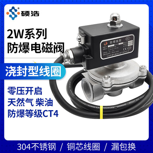 2W防爆电磁阀2W160-15