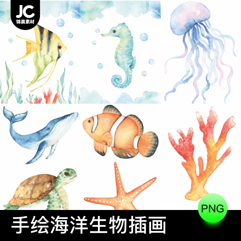 唯美卡通手绘水彩海洋动物植物海龟鲸鱼海星免抠图PS素材