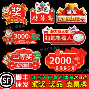 新年颁奖牌一等奖捐款企业公司年会晚会KT板定制现金支票拍照道具