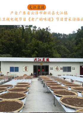 广东新兴大江豆豉酱汁姜黎海泉