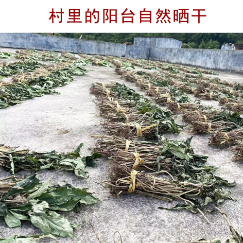 白饭仔新兴土特产白饭仔煲汤大山野生干货广东煲汤料清絷利湿