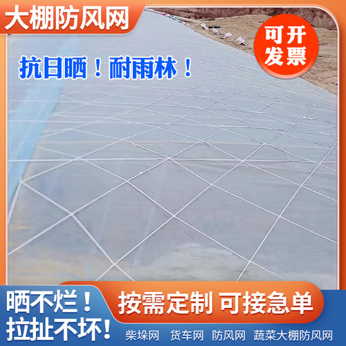 大棚防风网防护网尼龙防风网安全养殖网大孔压膜绳网挡风网大棚网