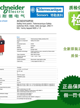 XCSD3702P20/XCSD3902P20/XCSD3918P20/XCSD3718P20施耐德全新