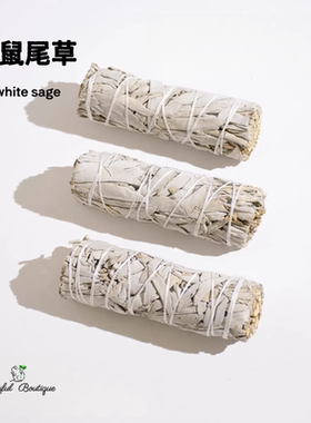 加州进口白鼠尾草white sage净化冥想缓解香薰圣木雪松水晶消磁