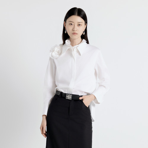 婉甸2025年秋季新品经典白长袖衬衫1243S02DZ1