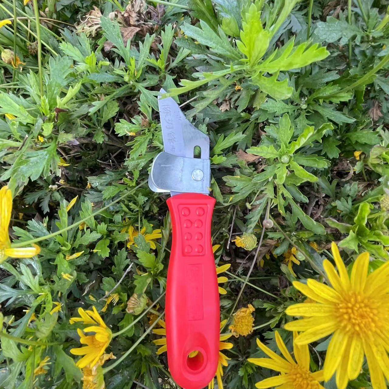 贡菜开条刀新款开条刀