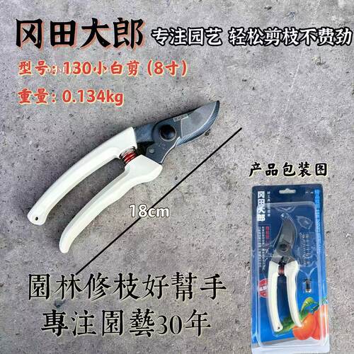 8寸小枝剪果树修枝采摘剪